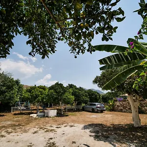 Orchard Retreat Himare